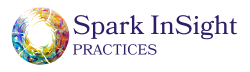 Spark InSight company logo