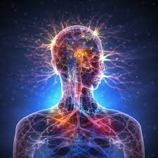Nervous System regulation by reintegrating emotions