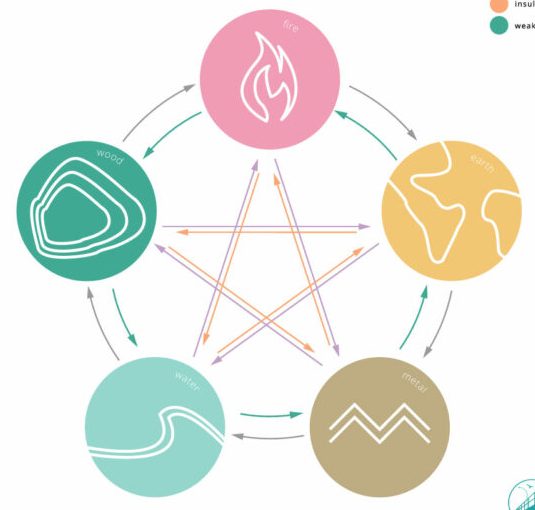 5 Elements Model Traditional Chinese Medicine